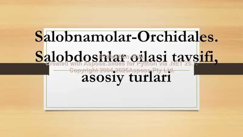 Salobnamolar-Orchidales