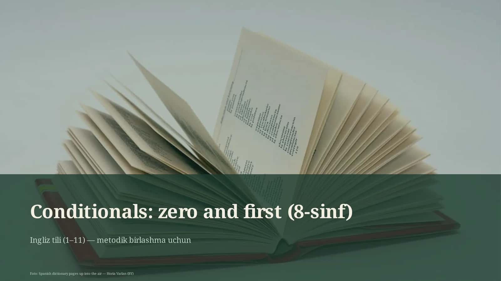 Conditionals: zero and first (8-sinf)