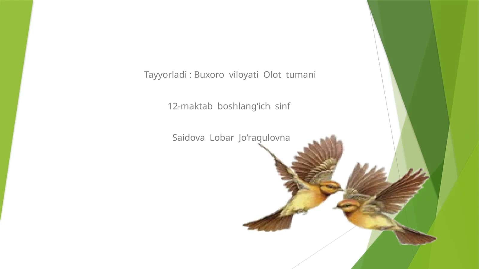 Rivoyat