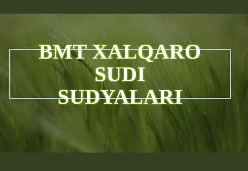 BMT xalqaro sudiyalari