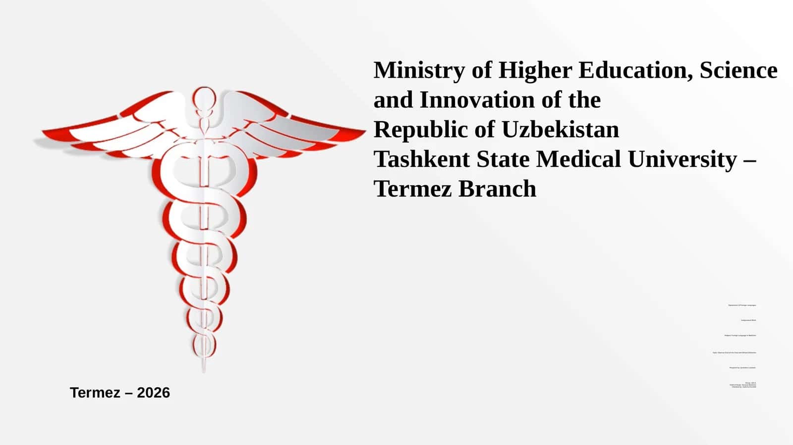 Foreign Language in Medicine - End-of-Life Care and Ethical Dilemmas