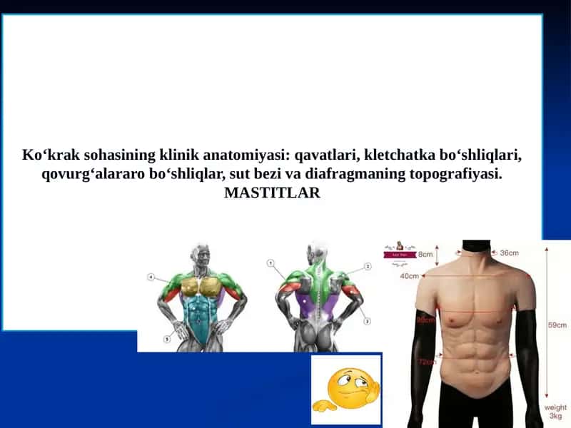 Ko‘krak sohasining klinik anatomiyasi: qavatlari, kletchatka bo‘shliqlari, qovurg‘alararo bo‘shliqlar, sut bezi va diafragmaning topografiyasi.MASTITLAR