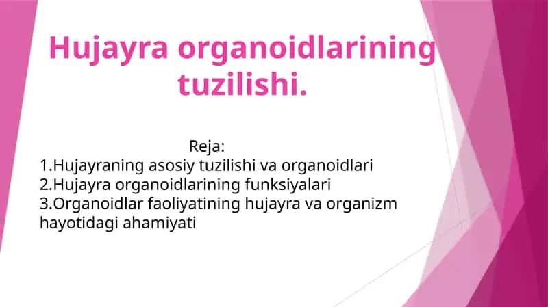 Hujayra Organoidlarining Tuzilishi