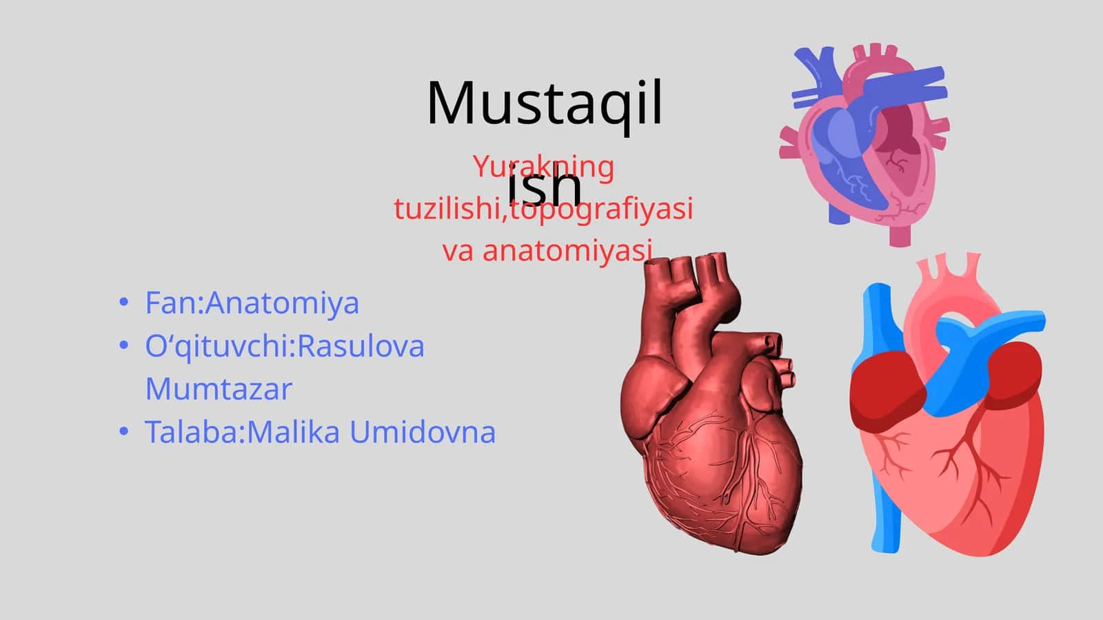 Yurakning tuzilishi,topografiyasi va anatomiyasi
