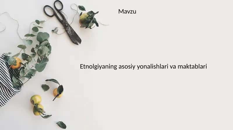 Etnolgiyaning asosiy yonalishlari va maktablari