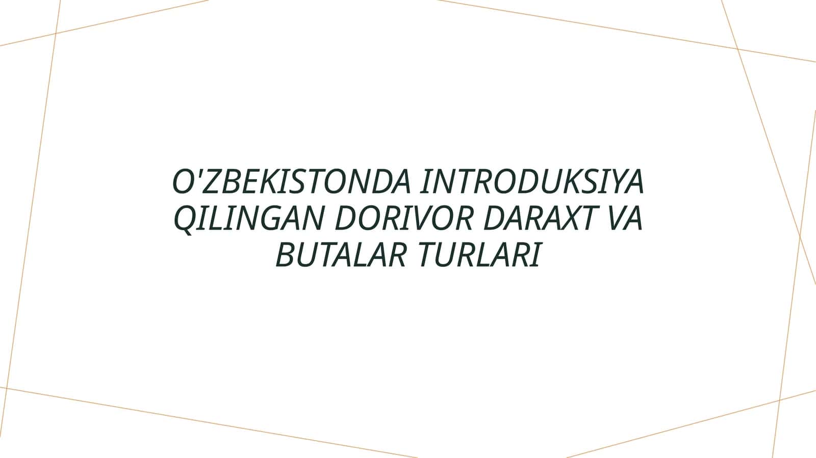 O'zbekistonda introduksiya qilingan dorivor daraxt va butalar turlari