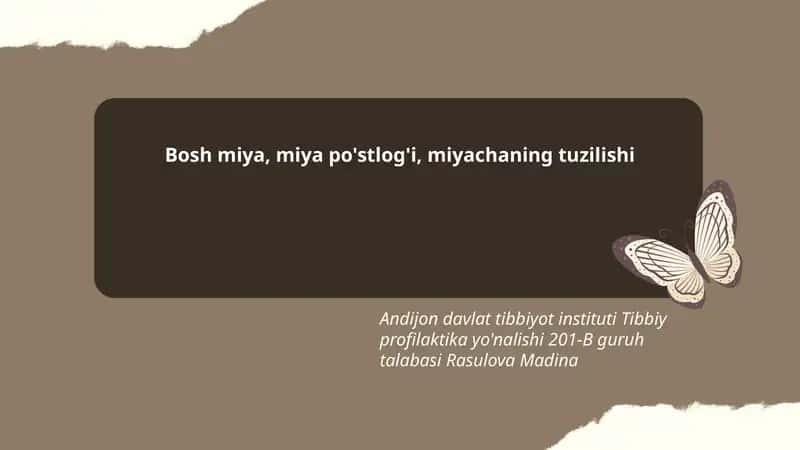 Bosh miya, miya po'stlog'i, miyachaning tuzilishi