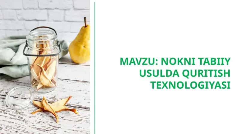 NOKNI TABIIY USULDA QURITISH TEXNOLOGIYASI