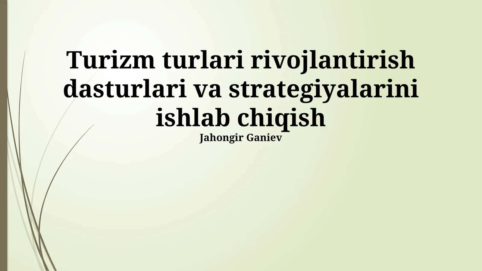 Turizm turlari rivojlantirish dasturlari va strategiyalari