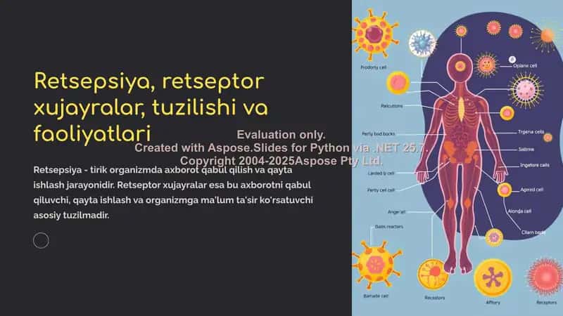 Retsepsiya, retseptor xujayralar, tuzilishi va faoliyatlari