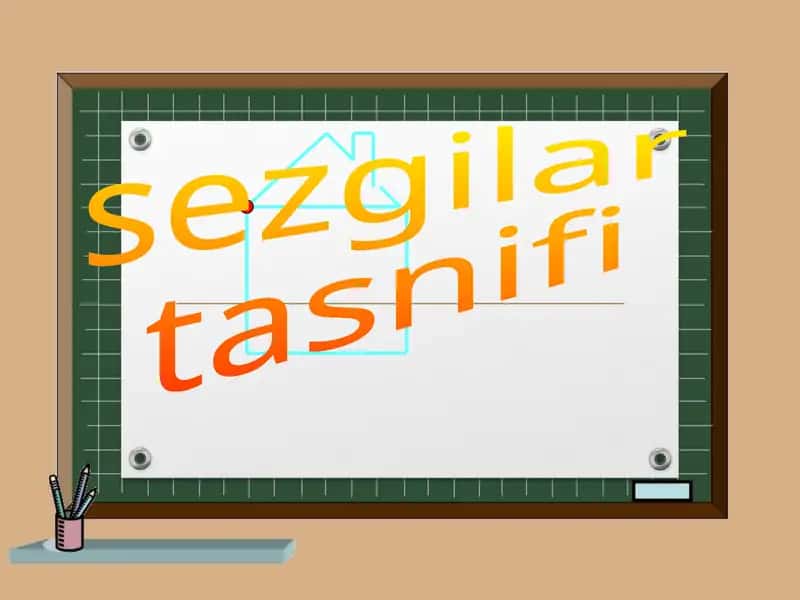 Sezgilar