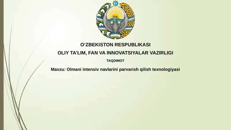 Olmani intensiv bog'dorchilik texnologiyasi