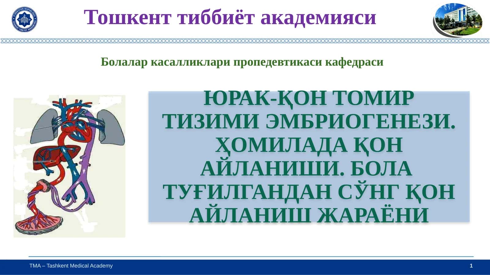 ЮРАК-ҚОН ТОМИР ТИЗИМИ ЭМБРИОГЕНЕЗИ