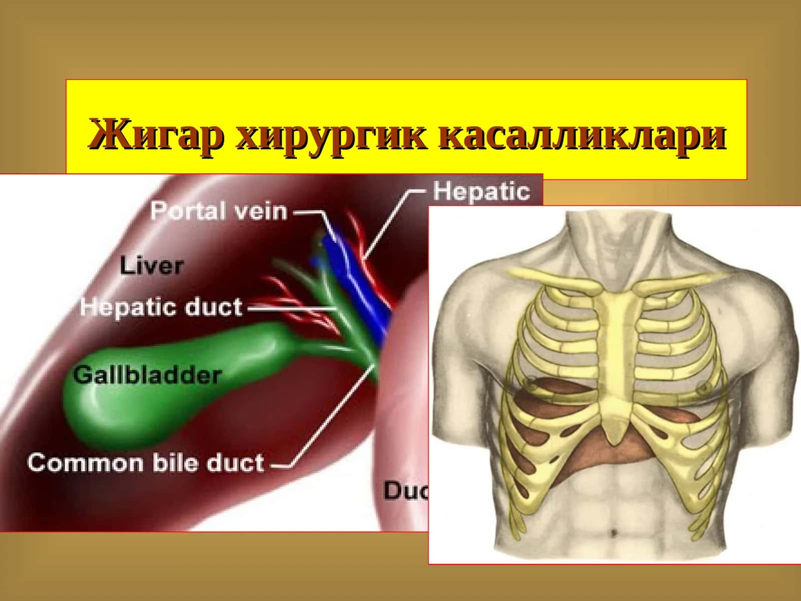 Жигар хирургик касалликлари