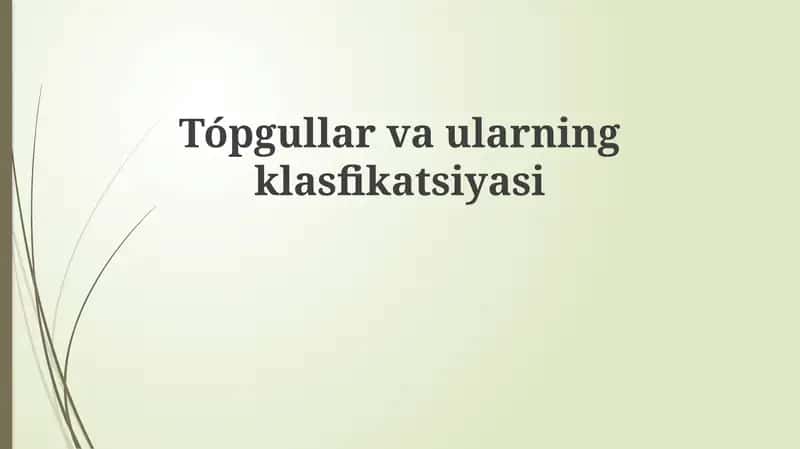 Loyli tuproqlar