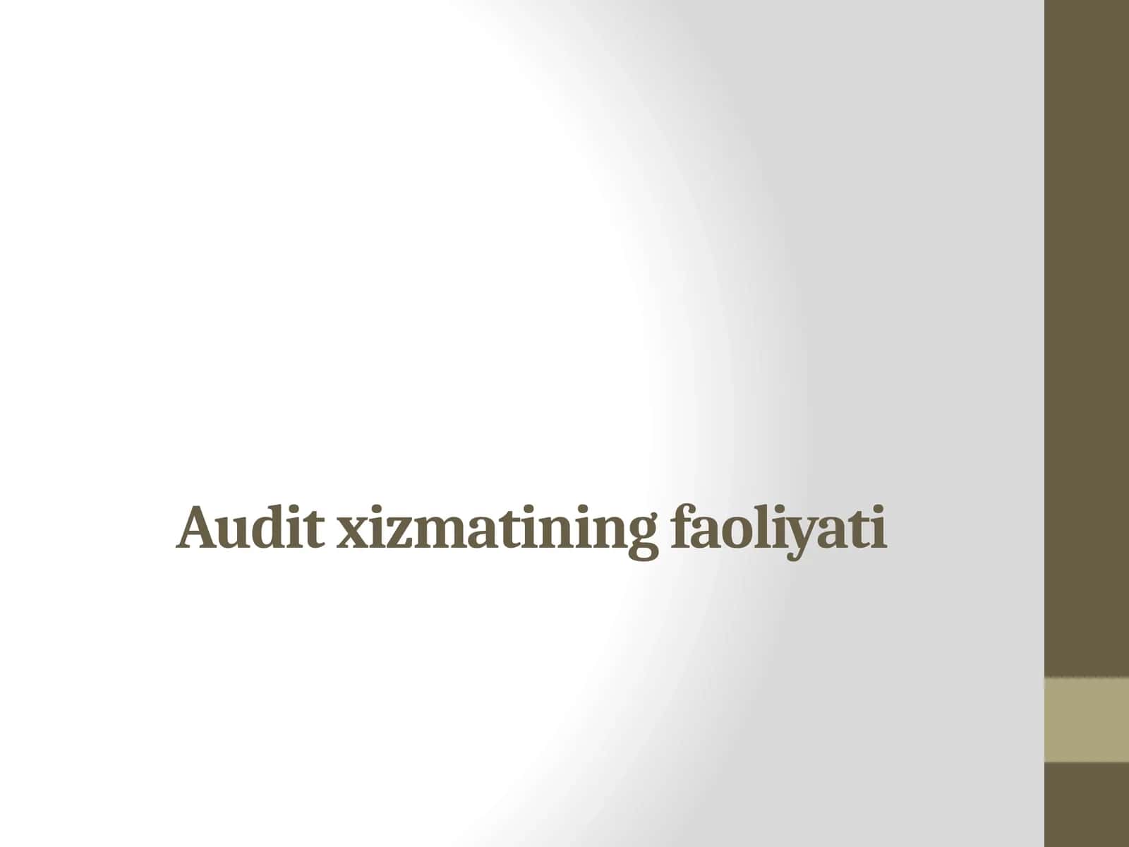 Audit xizmatining faoliyati
