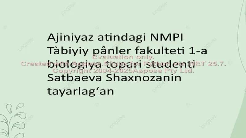 Joqari dàrejeli oʻsimliklerdin̈ kelip shigiwi evolyutsiyasi