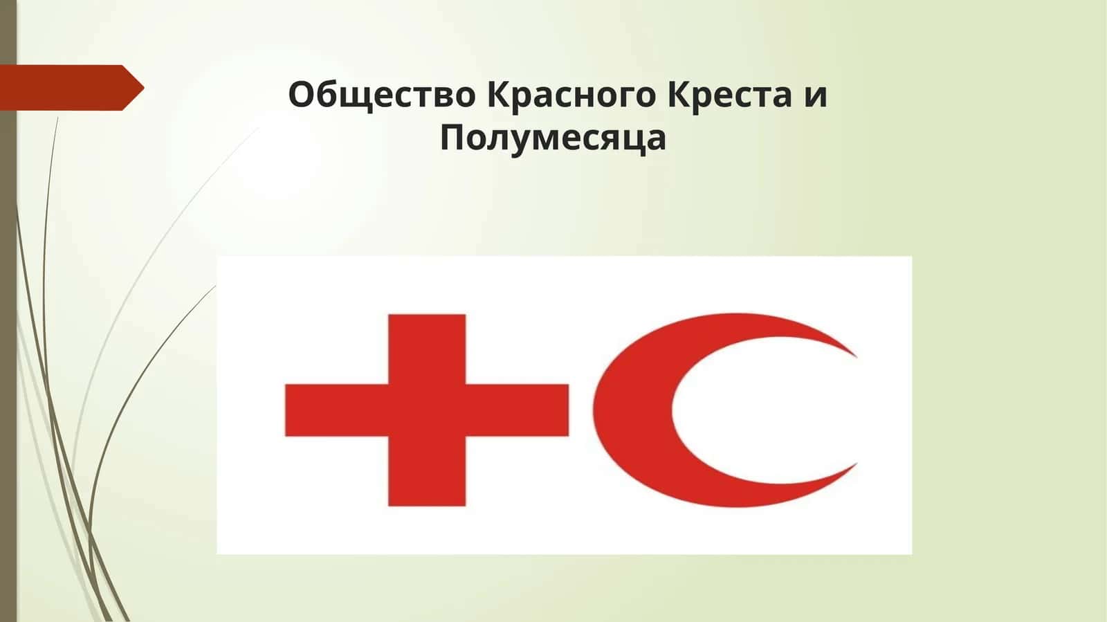 Общество Красного Креста и Полумесяца