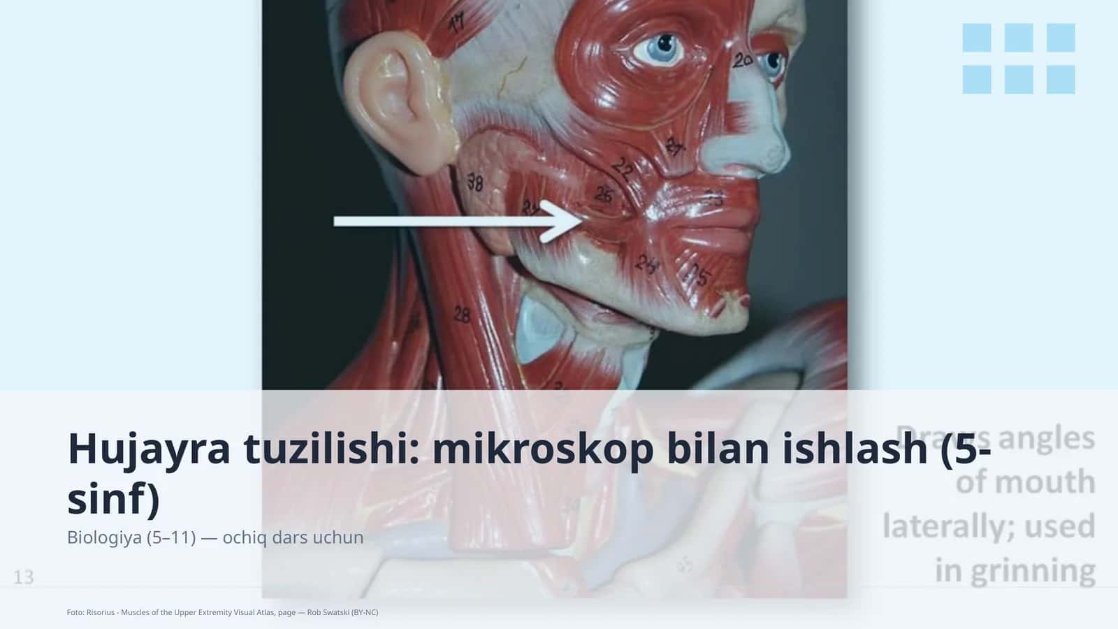 Hujayra tuzilishi: mikroskop bilan ishlash (5-sinf)