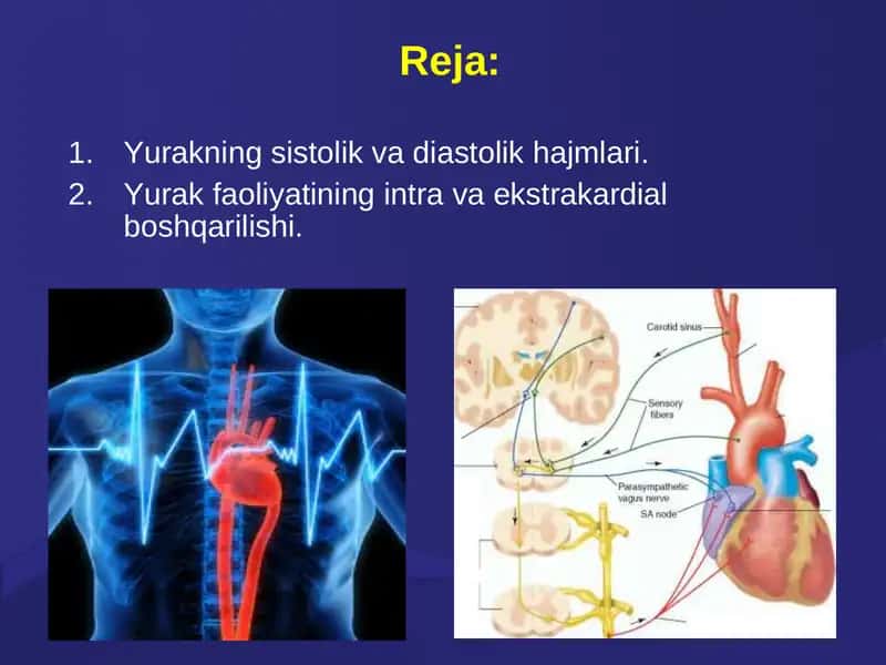 Yurakning sistolik va diastolik hajmlari