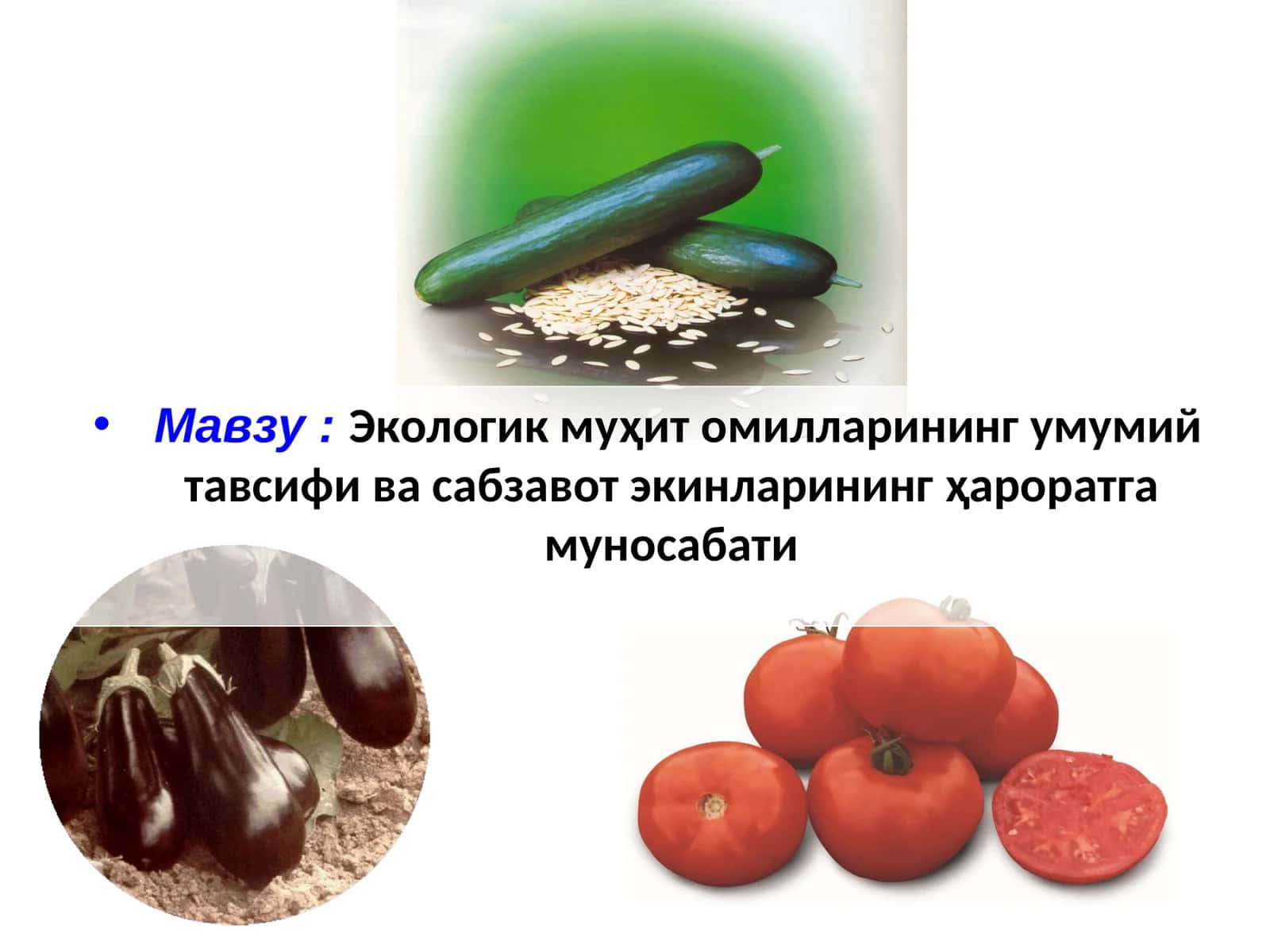 Экологик муҳит омилларининг умумий тавсифи ва сабзавот экинларининг ҳароратга муносабати