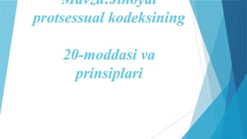 Jinoyat protsessual kodeksining 20-moddasi va prinsi