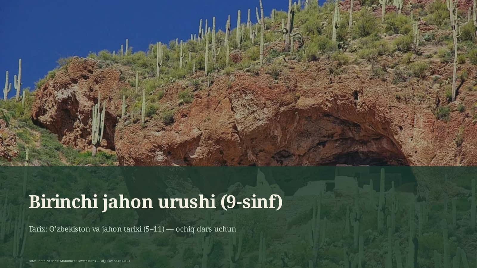 Birinchi jahon urushi (9-sinf)