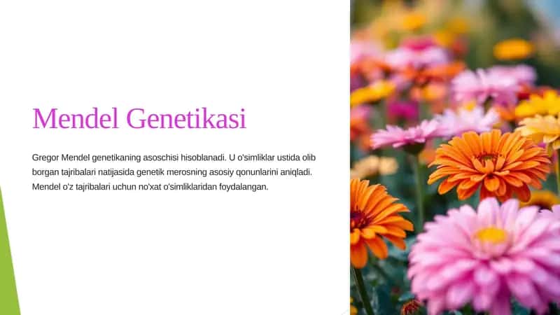 Mendel Genetikasi