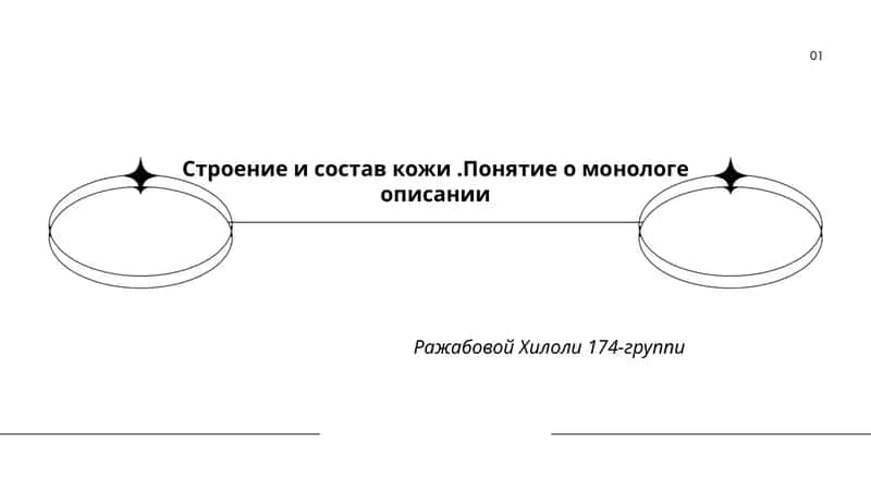 Строение и состав кожи