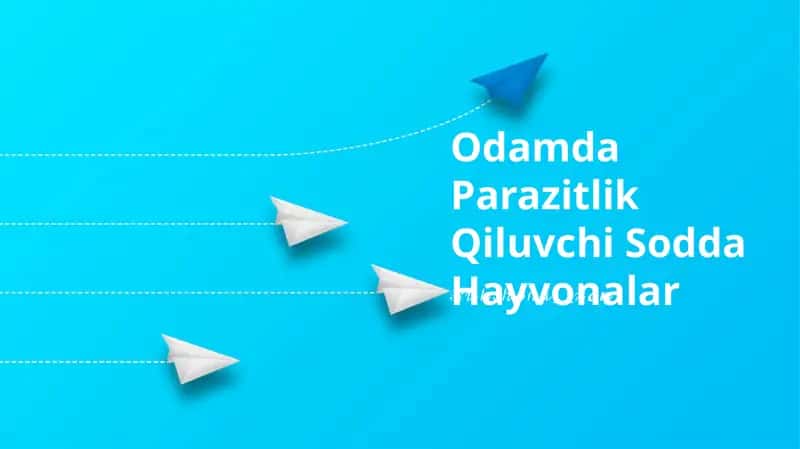 Odamda Parazitlik Qiluvchi Sodda Hayvonalar