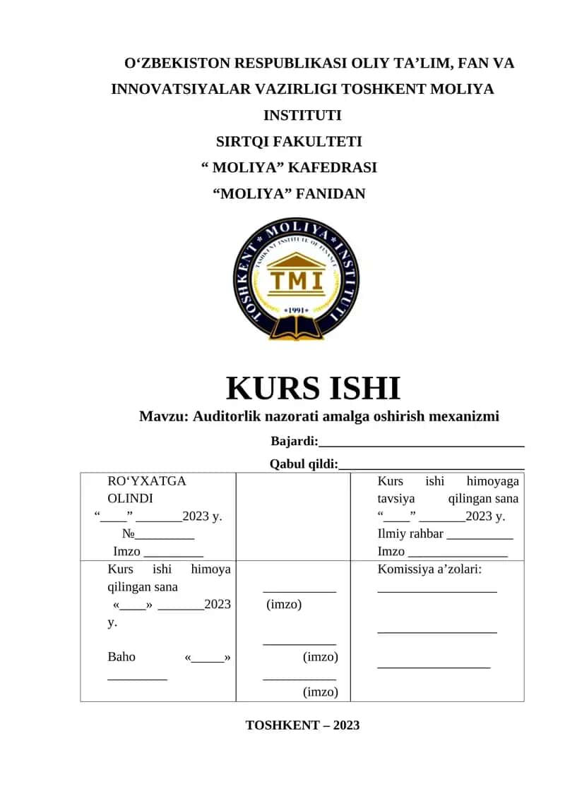 Auditorlik nazorati amalga oshirish mexanizmi