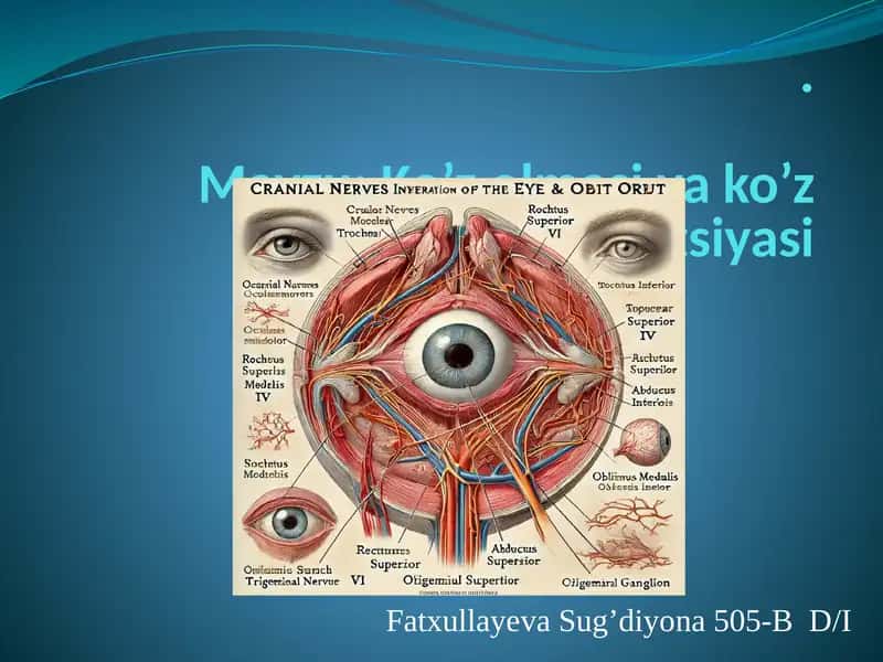 Ko’zolmasiva ko’z kosasi innervatsiyasi