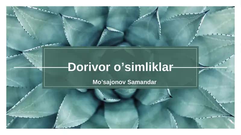 Dorivor oʼsimliklar