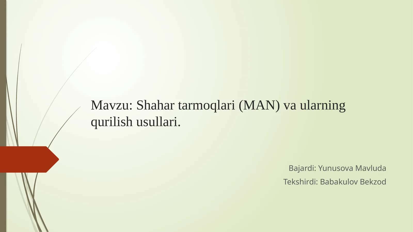 Shahar tarmoqlari (MAN) va ularning qurilish usullari.