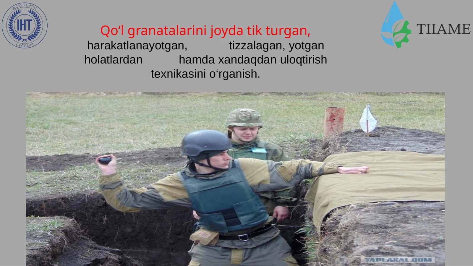 Jangovar granatalar