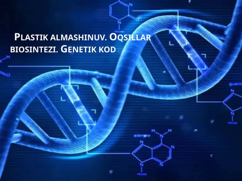 Plastik almashinuv. Oqsillar biosintezi. Genetik kod