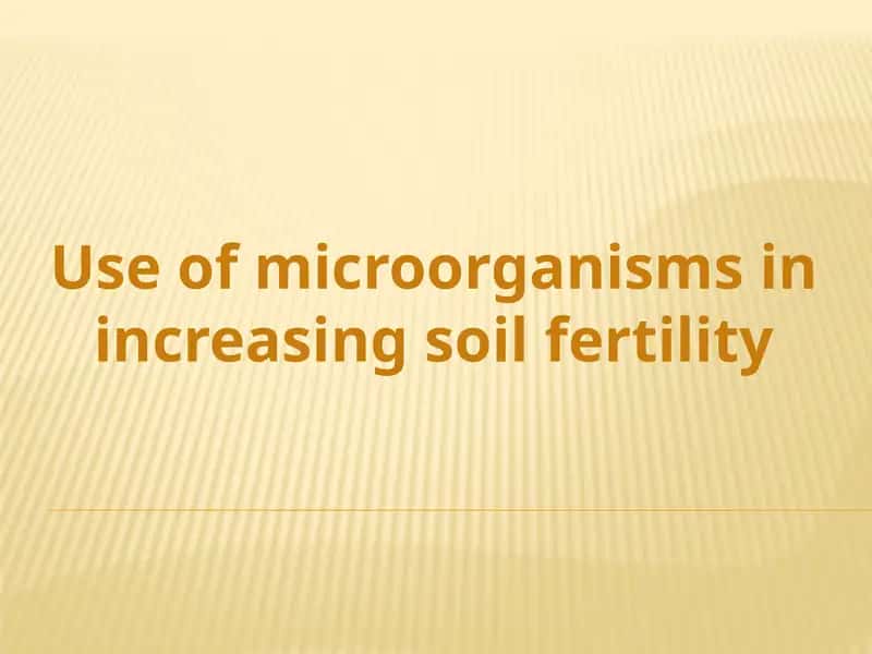 Use of microorganisms in increasing soil fertility