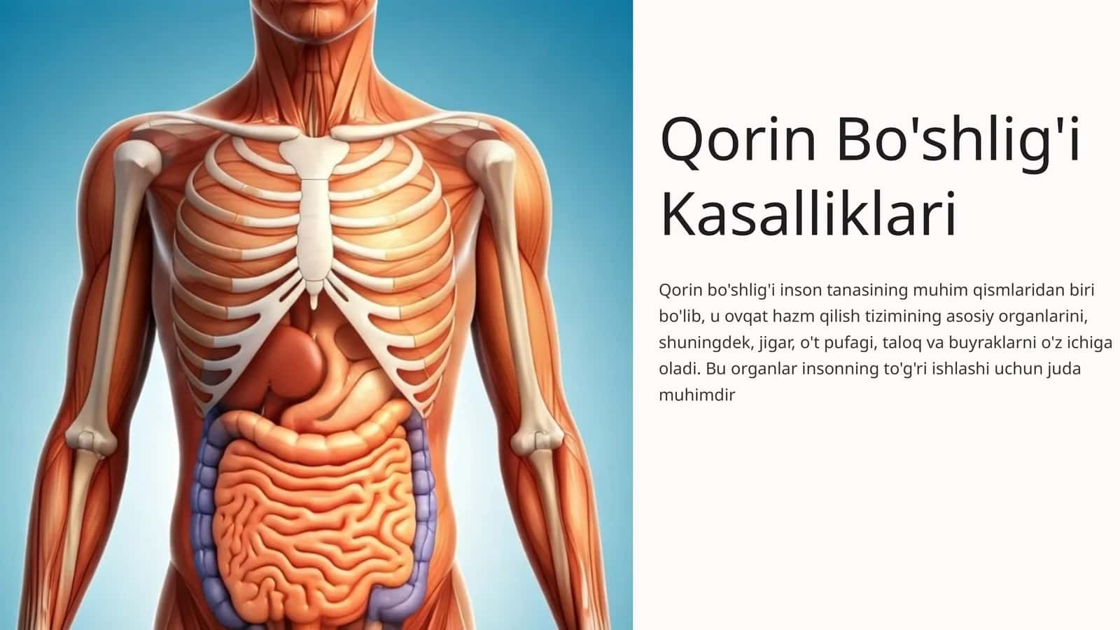 Qorin Bo'shlig'i Kasalliklari