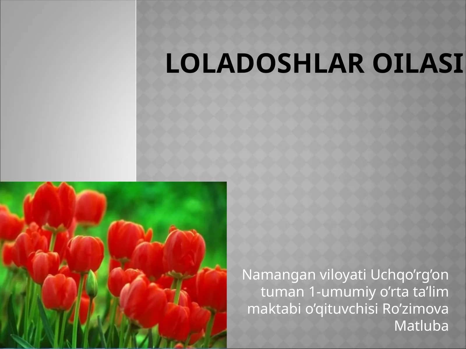 Loladoshlar oilasi
