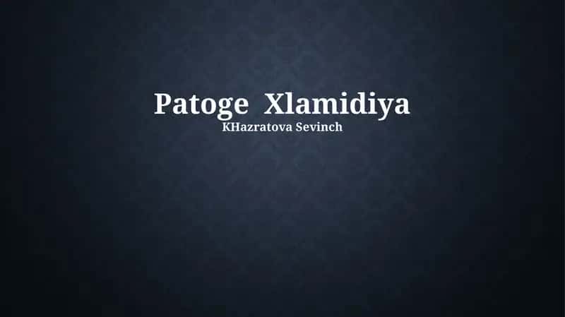 Patoge Xlamidiya