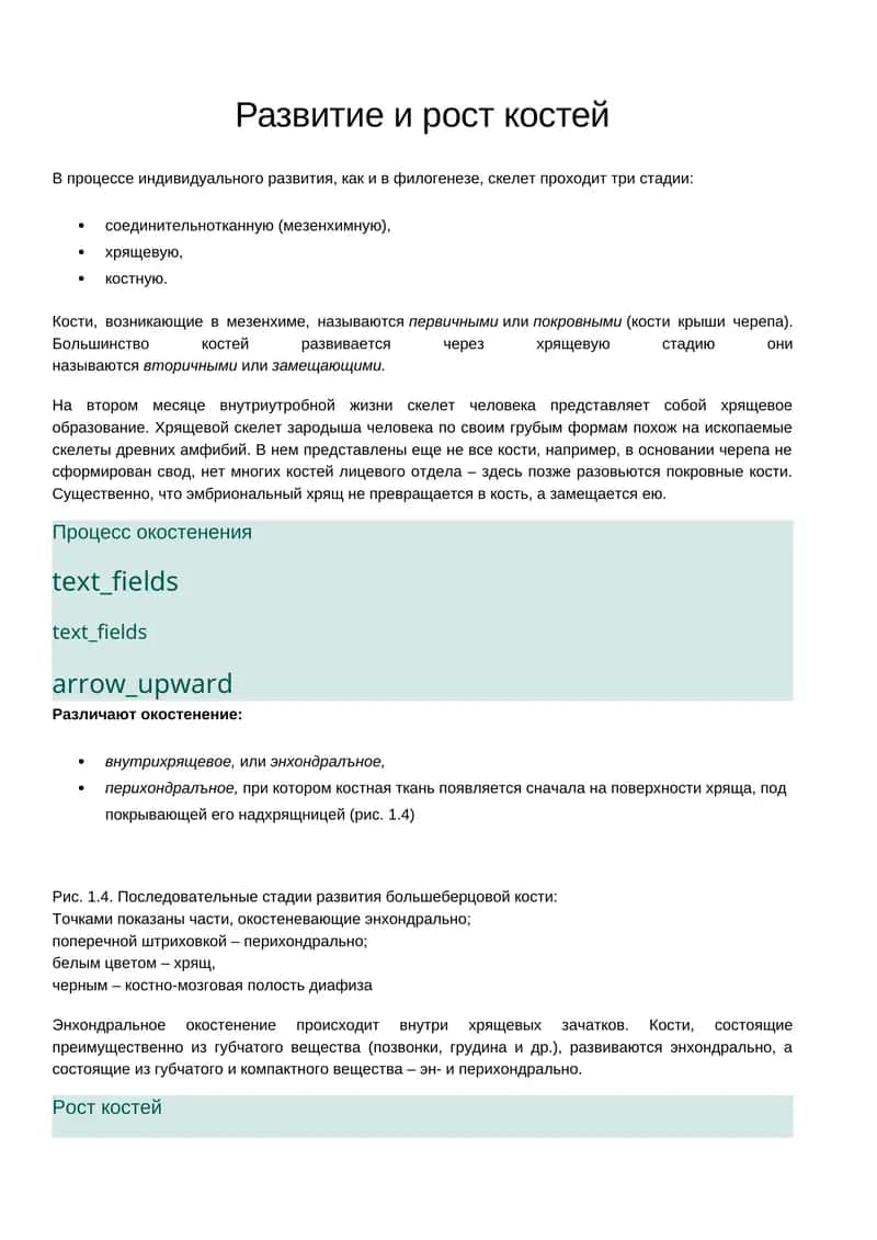 Развитие и рост костей