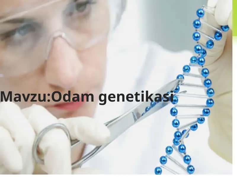 odam genetikasi