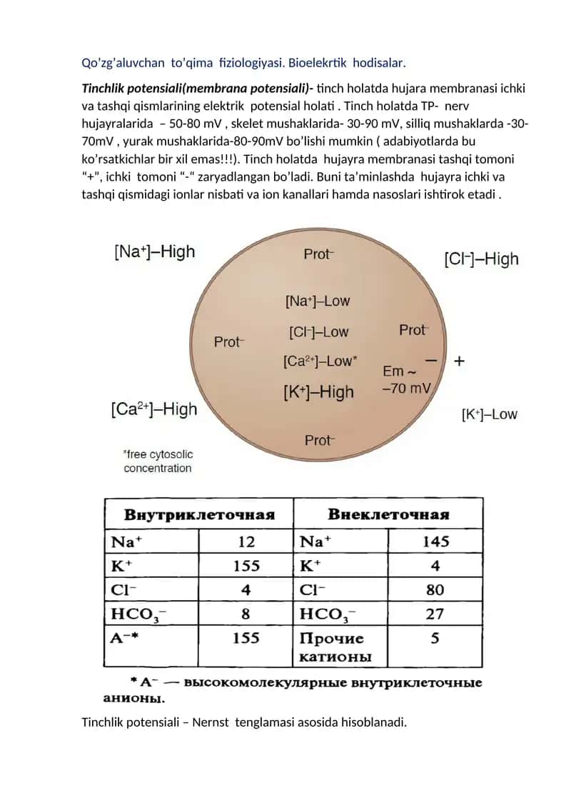 Qo'zg'aluvchan to'qima fiziologiyasi
