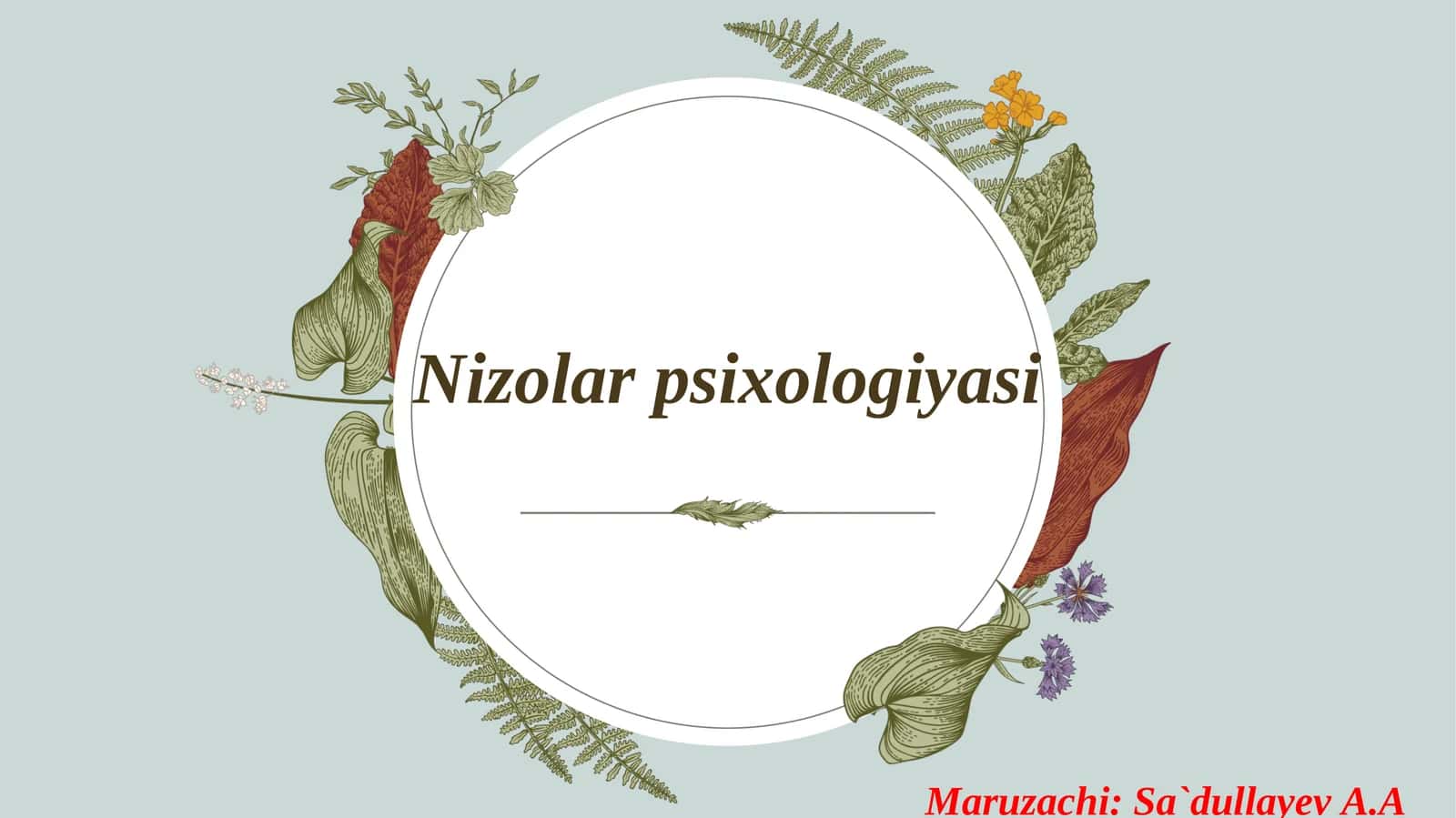 Nizolar psixologiyasi