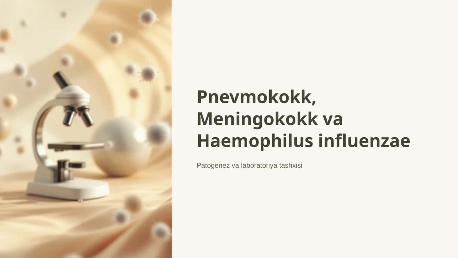 Pnevmokokk, Meningokokk va Haemophilus influenzae