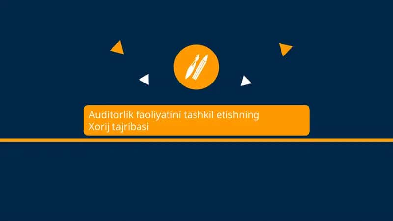 Auditorlik faoliyatini tashkil etishning Xorij tajribasi
