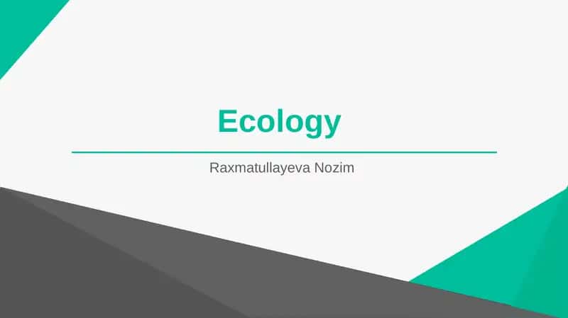 ecology and global problem