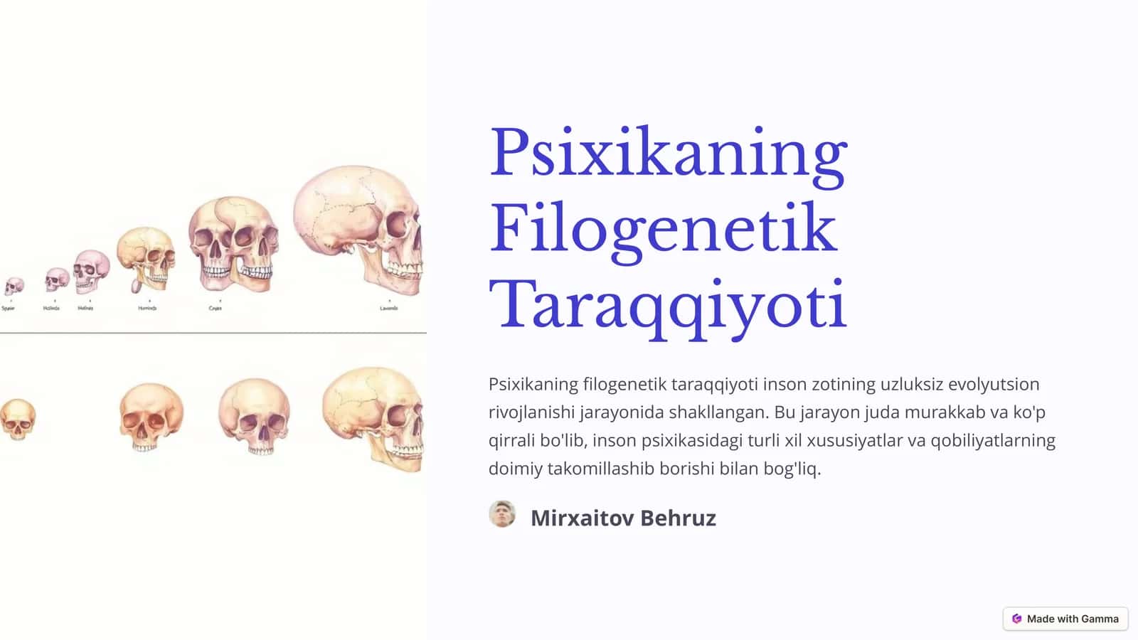 Psixikaning Filogenetik Taraqqiyoti