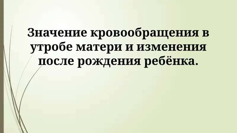 Кровообращение в утробе матери и изменения после рождения