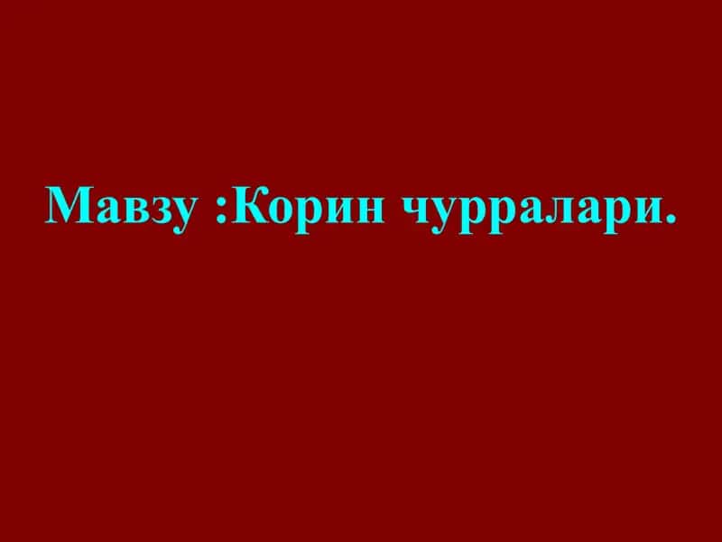 Жигар девори анатомияси